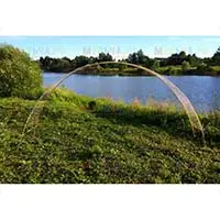 А в вашем саду уже есть арка?