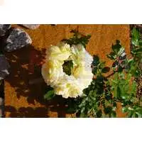 Натуральный мульчирущий материал в рулонах - кокосовые маты