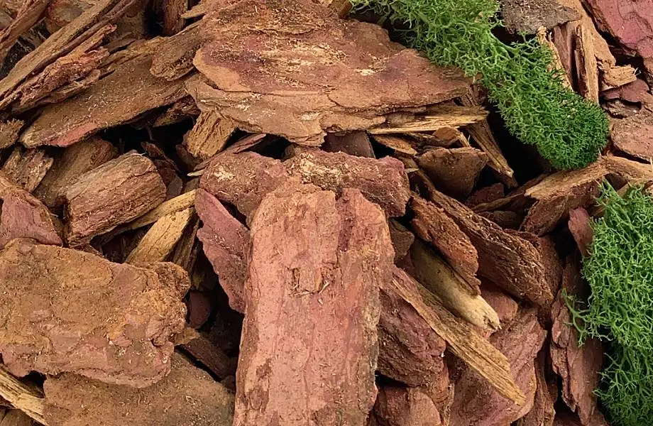 Кора лиственницы: природный материал для вашего участка